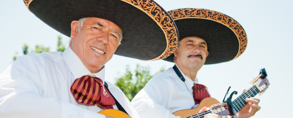 Fiesta de la Familia